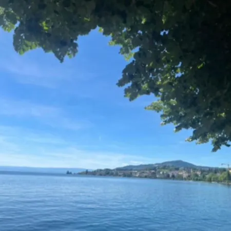 Lake Studio *